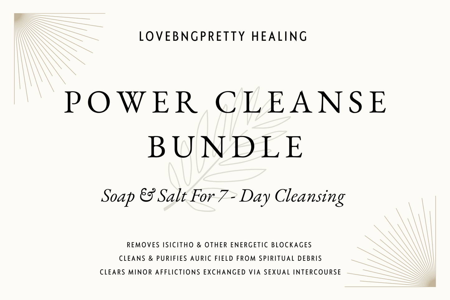 Power Cleanse Bundle